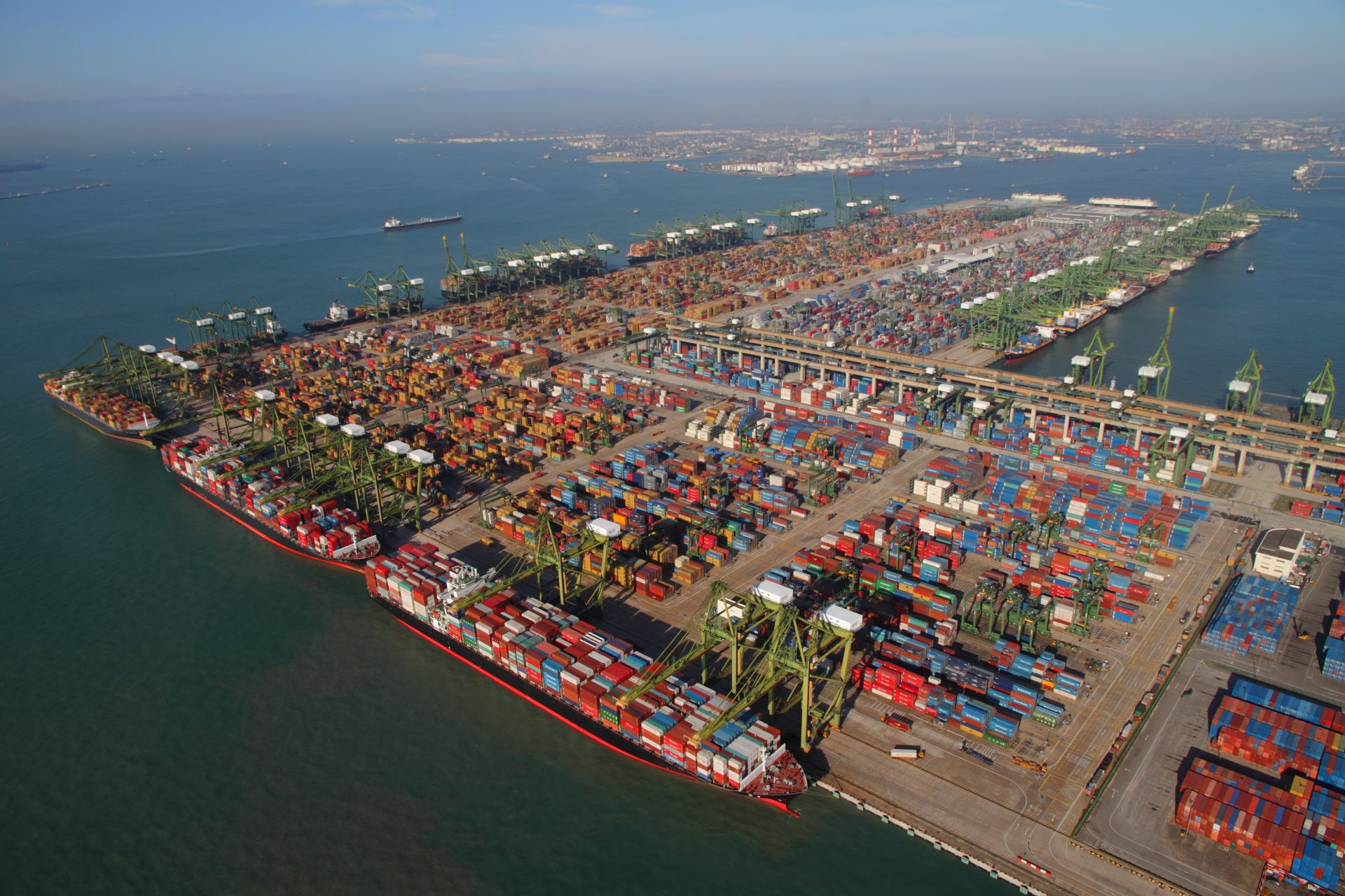 Survey results: Peak season container shipping “chaos” on the way ...