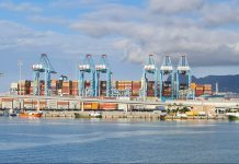 Port of Algeciras completes a decade of consistent throughput