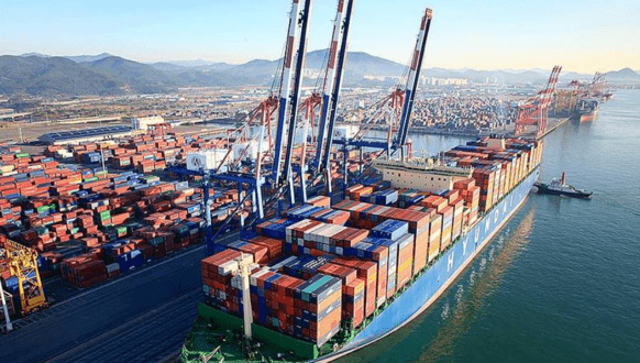 US FMC designates HMM as state-controlled carrier - Container News