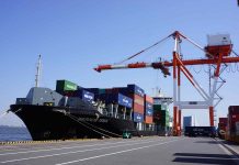 Tokyo Port to add 450,000 TEUs with new Y3 container yard