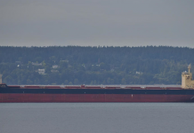 Port of Port Hedland starts revetment wall upgrade