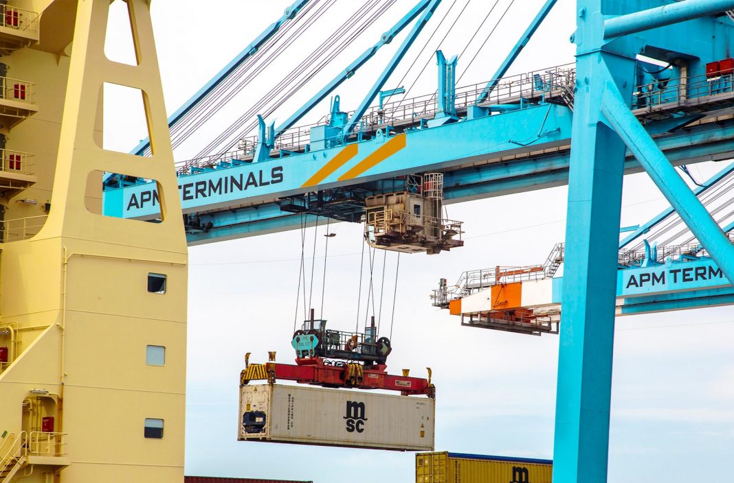 Brazilian container terminal invests in port equipment amid increasing ...