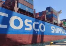 COSCO and Yang Ming send more ships to Asia-North Europe after alliance shake-up