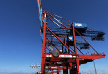 Why pausing Chinese crane tariffs could raise concerns in the US?