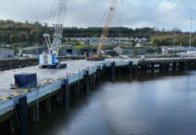 Shannon Foynesport reports record turnover