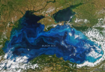 Commercial shipping turns into strategic target in Black Sea region