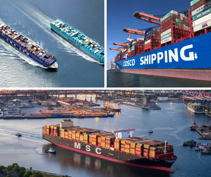 Top container shipping companies- Container News