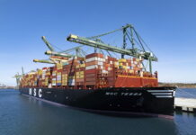 MSC to introduce Peak Season Surcharge on exports from Beira