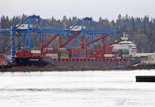 Carpenters Shipping adds Honiara call to PWX service