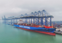 COSCO launches WSA3 service from Yangpu Port