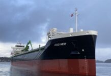 Wärtsilä secures repeat order for Aasen Shipping Bulk Carrier