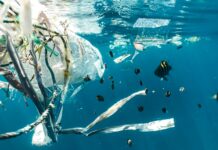 Maritime leaders launch MACS to combat ocean plastic pollution