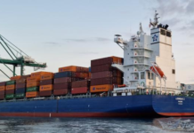 Euroseas signs multi-year deals for three container ships
