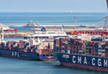 SIIM and CMA CGM boost tropical fruit imports via Dunkirk