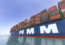 HMM maintains solid profitability in 2025 despite market weakness