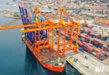 Adriatic Gate Container Terminal raises Rijeka port efficiency with new quay cranes