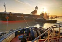 British Ports Association welcomes new UK marine safety compliance exercise