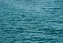 Kpler acquires Bridgeton Research Group