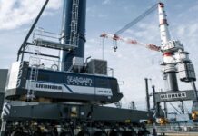 Seaboard Marine orders three electric Liebherr cranes
