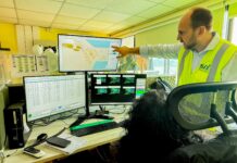 STI implements Digital Twin Platform to enhance terminal operations