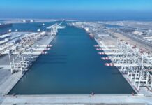 Damietta Alliance Container Terminal (DACT) launches commercial operations Damietta Alliance Container Terminals (DACT)