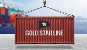 Gold Star container