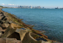 Port of San Diego scales up habitat-friendly shoreline programme