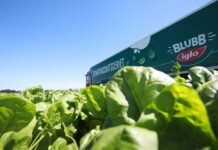 DHL and iglo extend frozen food logistics partnership in Germany