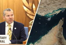 IMO Chief condemns Strait of Hormuz attacks on seafarers IMO Secretary-General Arsenio Dominguez