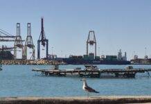 Valenciaport’s Ecoport II companies exceed environmental targets Ecoport II group, led by Valenciaport, has delivered measurable environmental improvements across the ports of Valencia, Sagunto and Gandia.