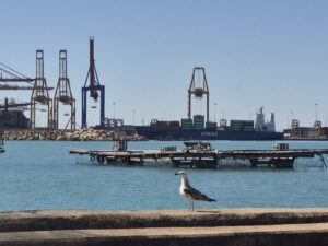 Ecoport II group, led by Valenciaport, has delivered measurable environmental improvements across the ports of Valencia, Sagunto and Gandia.