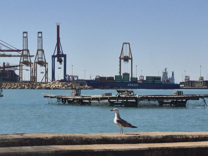 Ecoport II group, led by Valenciaport, has delivered measurable environmental improvements across the ports of Valencia, Sagunto and Gandia.