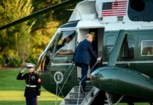 Trump pauses Strait of Hormuz escort operation amid Iran deal push TRUMP