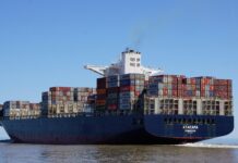 Sea-Intelligence: Carrier Profitability drops sharply in 2025-Q4 containership