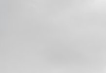 Managing Workplace Liability in the Shipping and Container Industry