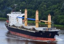 TVL Marine joins container shipping newcomer league Taiwan-based freight forwarder and technical ship manager TVL Marine will enter the container shipping business in June.