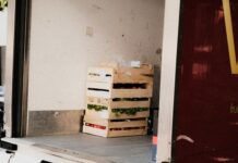 10 Ways Shippers Safeguard Perishables in Delays
