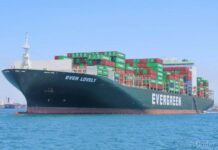IMO pauses Strait of Hormuz evacuation after vessel attack The International Maritime Organization (IMO) has suspended its evacuation operation in the Strait of Hormuz after a cargo vessel came under attack in the Gulf of Oman.