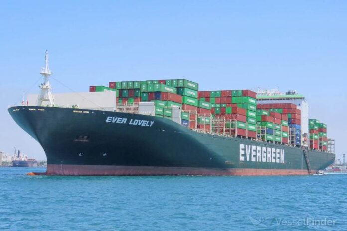 The International Maritime Organization (IMO) has suspended its evacuation operation in the Strait of Hormuz after a cargo vessel came under attack in the Gulf of Oman.