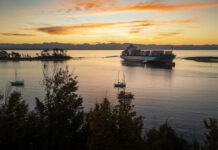 Port Nelson welcomes largest vessel in its history Maersk Cap Jackson vessel