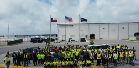 Volkswagen has surpassed 250,000 vehicles shipped through Port Freeport since establishing its Gulf Coast vehicle processing hub.
