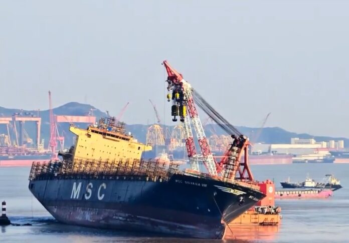 MSC Silvana VIII