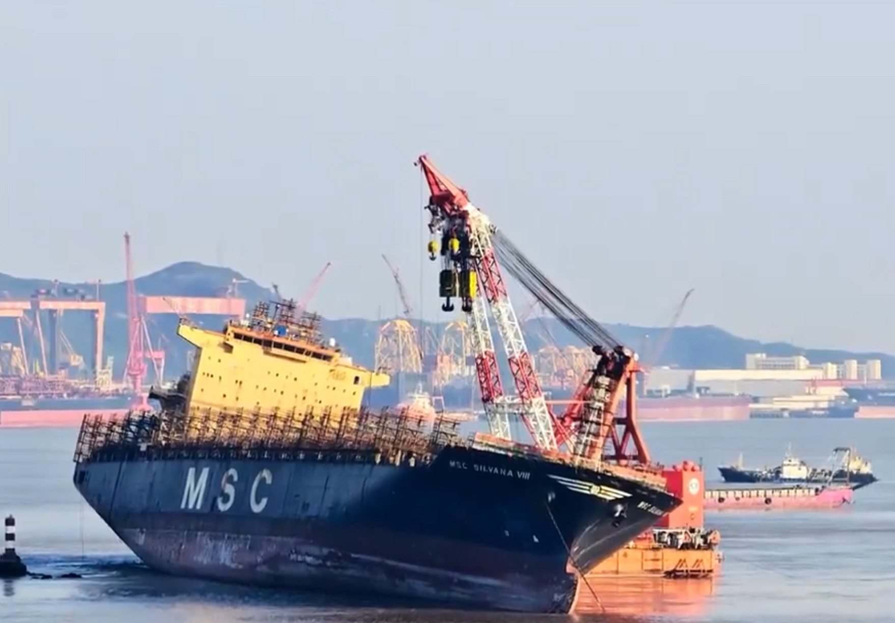 MSC Silvana VIII