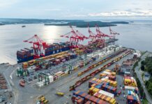 Explainer: Deciphering the two harbour doctrines