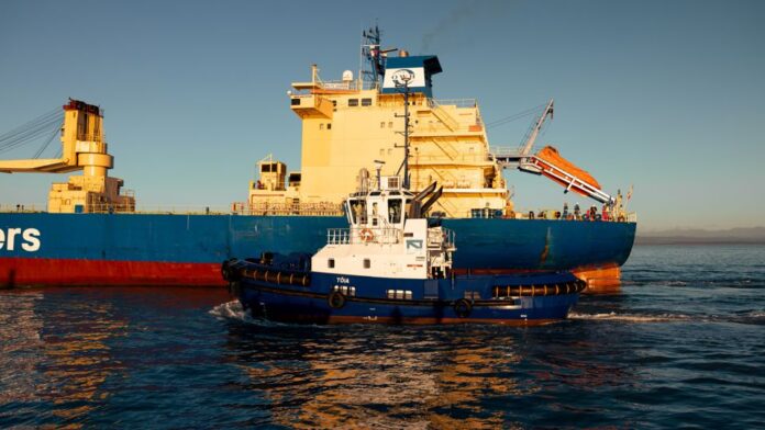 Nelson Port Nelson has reported an underlying net profit, supported by strong cargo throughput and revenue 15% ahead of the prior year.