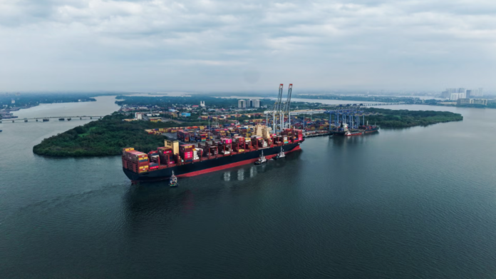DP World Cochin sets monthly container record with nearly 98,000 TEUs
