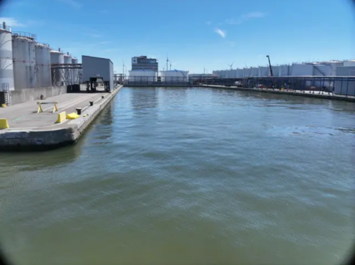 Port of Antwerp-Bruges began works in mid-September 2026 on the renewal of quays 231 and 239 in the Hansa Dock.