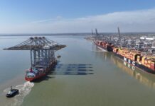 DP World expands crane capacity at London Gateway and Southampton DP World expands crane capacity at London Gateway and Southampton