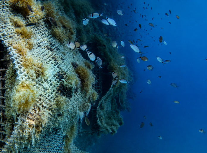 Nuevas estructuras en el océano ayudarán a los animales marinos