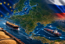 Can grain-transit denial reopen the Black Sea? How an EU ban on Russian grain through Baltic ports could reshape container shipping in the Black Sea and set off rerouting.